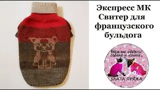 60. Свитер для французского бульдога. Экспресс МК