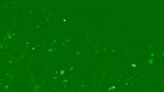 GREEN SCREEN WINTER EFFECT 2