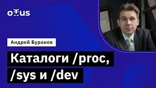 Каталоги /proc, /sys и /dev // Демо-занятие курса «Administrator Linux. Professional»