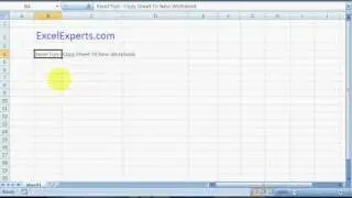 ExcelExperts.com - Excel Tips - Copy Sheet To New Workbook