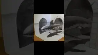 Drawing 3D Great White Shark