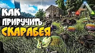 Как приручить навозного жука/скарабея в арк! Запись стрима! ARK Survival Evolved