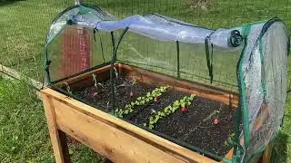 Mini Greenhouse for your Raised Beds - Perfect!