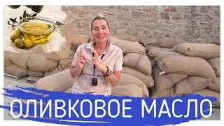 Оливковое масло от А до Я! Алёна Фортунаки🇬🇷Крит-Гид