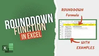 How to Use ROUNDDOWN Function in Excel | With Examples 🔥🔥