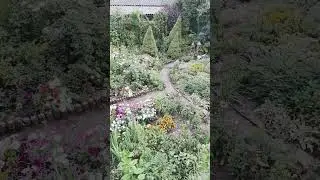 Сказочный сад.Цветы