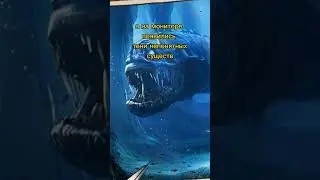 Жуткая находка в Марианской впадине 