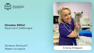 Основы ЭХОкг, лектор Елена Мордас