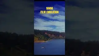 16mm Film Emulation | Relax