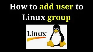 How to add user to Linux group