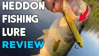 "Heddon Super Spook Topwater Lure Review: Catching Fish Like Never Before!