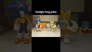 hedgehog joke 