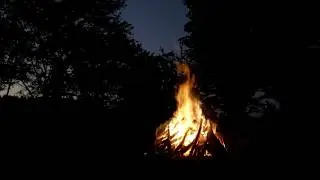 🔥 Camping in the Forest with a Relaxing Crackling Campfire and the Sound of Night Animals Around You