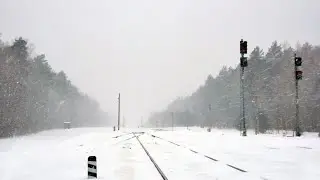 The best sounds of an icy snow storm. Heavy snowfall and wind for sleeping. Winter forest.