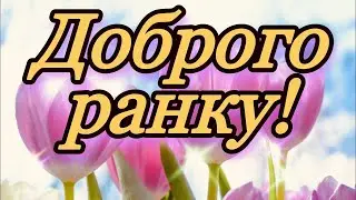 #Доброго #ранку! #Гарних #новин та #вдалого #тижня! #Музичнa #листівка!