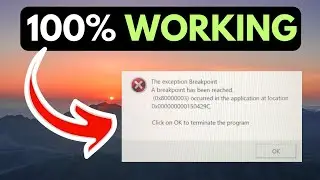 The Exception Breakpoint Has Been Reached   Error on Windows 11 FIXED