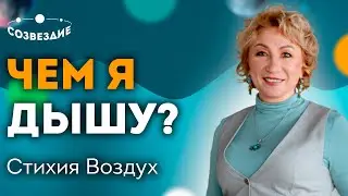 Чем я дышу? // Основные качества человека // Стихия Воздух // Ушкова Елена