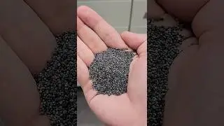 Poppy seeds vs drug test