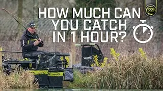 HOW MUCH CAN YOU CATCH IN 1 HOUR!? | Mark Pollards fishing challenge!