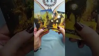 💥КАК У ВАС ПРОЙДЕТ ЗАГАДАННЫЙ ДЕНЬ?⚡Tarot Wind Rose Таро