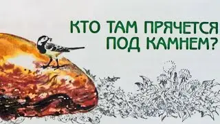 Кто там прячется под камнем? Великан на поляне