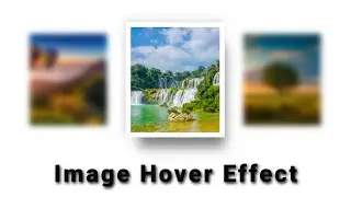 CSS Image Blur Hover Effect Using Pure CSS | CSS Card | CSS Images | 