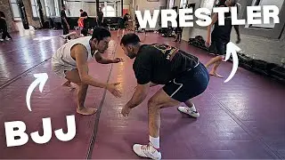 BJJ vs High Level Wrestler (WHO WINS?)