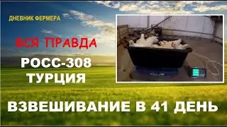 РОСС 308 Турция в 41 день - взвешивание. Вся правда и мой отзыв о РОСС-308 Турция.