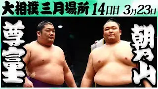 大相撲　尊富士ー朝乃山＜令和６年三月場所・１４日目＞SUMO