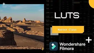 Working with LUTS in Filmora【Master Class】