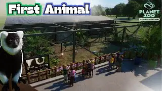 Adding our First Animal! | Black and White Ruffed Lemur | Planet Zoo Sandbox Mode | Ep.3 |