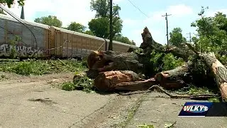 Cleanup efforts underway in Anchorage after severe storms