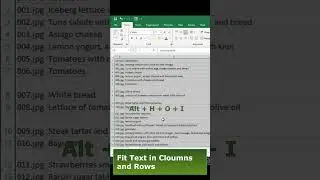 Auto Fit Columns and Rows in Excel
