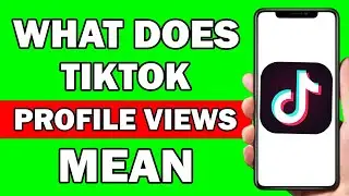 What Does Profile Views On Tiktok Means?