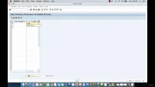 005 Defining Distribution Channels in SAP SD