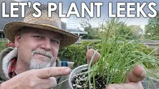 Let's Plant LEEKS! A Winter Gardening How-to || Black Gumbo