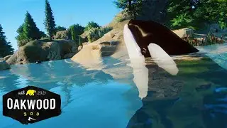 Real ORCA HABITAT In Planet Zoo! New Mod 🐋 | Planet Zoo Mod Zoo Speedbuild