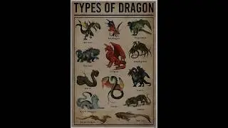 Types of Dragon 🐉