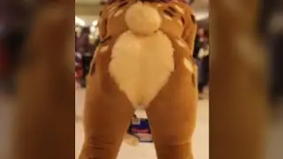 Strobes Shakes His Butt For The Camera (Fursuit Butts) 