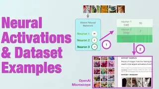 Neural Activations & Dataset Examples