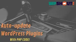 Auto-Updates for WordPress Plugins & Themes in Code