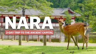 Essentials of NARA | 2-Day Trip | japan-guide.com