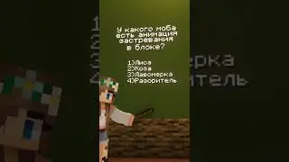 МАЙНКРАФТ ТЕСТ, СМОЖЕШЬ ли ТЫ ответить на все ВОПРОСЫ по Minecraft? 