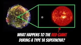 What Happens To The Red Giant Star During A Type 1a Supernova?