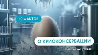 Криопротокол: что лучше – заморозить яйцеклетку, сперму или эмбрион?