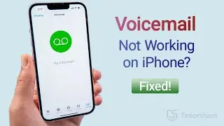 iPhone Voicemail Not Working? 8 Ways to Fix It! 2022