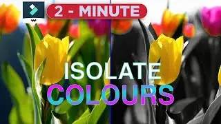How To Isolate Colors In Filmora 12 | Wondershare Filmora Video Editing Tutorial