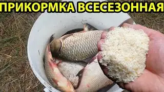 Прикормка по холодной воде за 27 р,рыбалка на карася, насадка на карася,карась в ноябре,прикормка