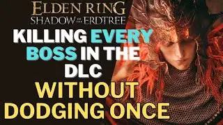 Can YOU beat the Elden Ring DLC - WITHOUT ROLLING ONCE?