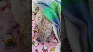Состояние тяжёлое, но есть маленький прогрессик